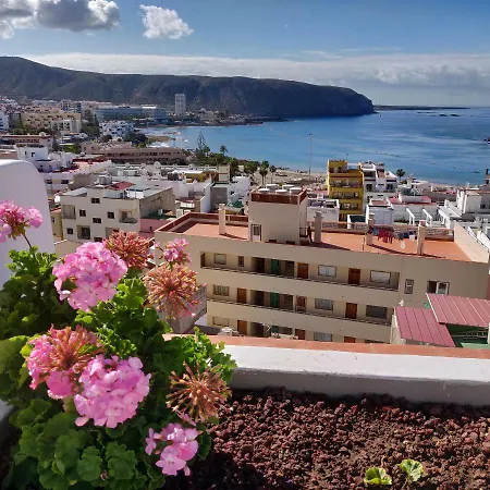 Cactus Los Cristianos Casa vacanze Los Cristianos (Tenerife)